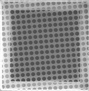 Quantifoil® Holey Carbon Films